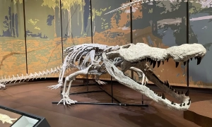 рф тимчасово відкликала посла з Вірменії: у чому справа