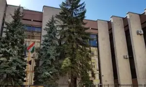Обмен пленными: суд внезапно отпустил главного фигуранта крушения МН-17