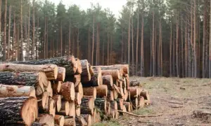 СБУ розкрила корупційну схему в харківському аеропорту