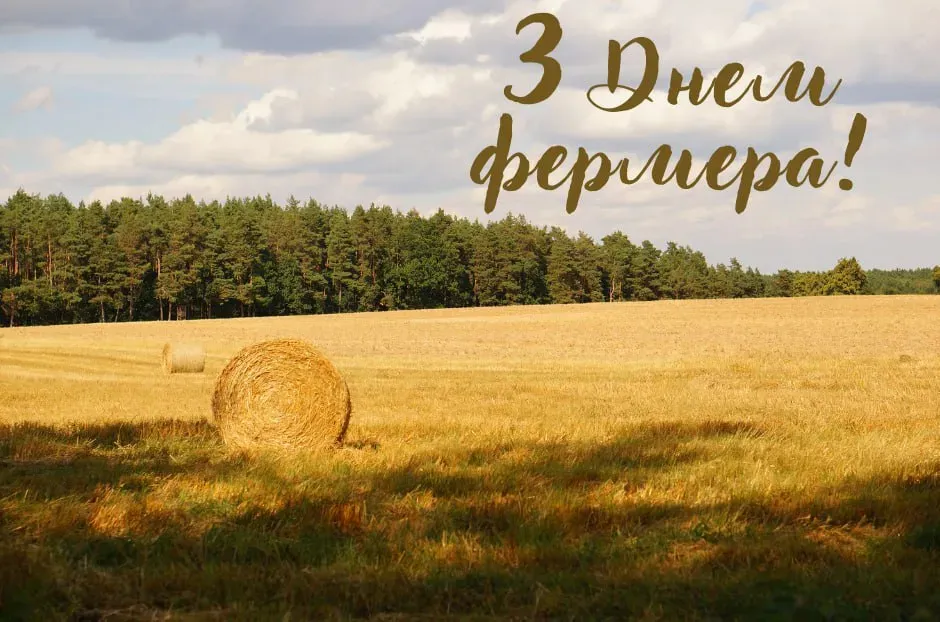 Праздник 19 июня: в Украине отмечают День фермера