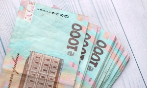 Аудит Міноборони виявив незаконну виплату 123 мільйонів військовим, які не воювали