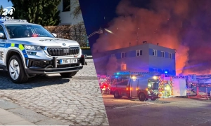 Австралійський пляж з кенгуру визнали найкрасивішим у світі