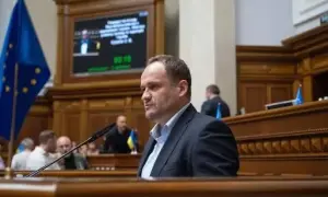 В Карпатах спасли двух осиротевших медвежат и передали их в центр реабилитации