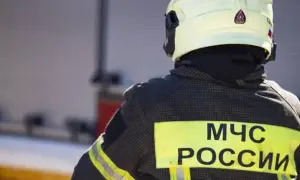 Вакцину против коронавируса начали тестировать на животных
