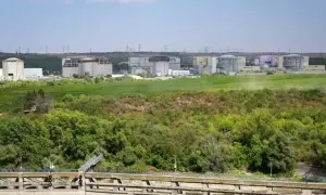 Свято 22 серпня 2026 — День кави у Перу: історія та цікаві факти