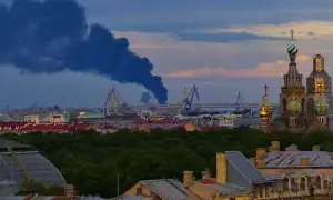 Грузинский Майдан: президент готовит обращение, в полицию летят «коктейли Молотова»
