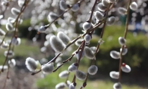 Фінляндія передала Україні обладнання для ремонту енергетичної інфраструктури