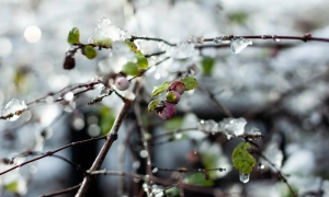 Рада ЄС схвалила макрофінансову допомогу Україні: яку суму отримає наша держава 