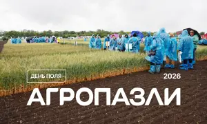 Гороскоп на 17 червня: Ракам — готовність до змін, Дівам — підтримка рідних