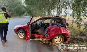 Фото: в Кривом Роге водитель посадил за руль собаку, чтобы избежать ответственности за ДТП