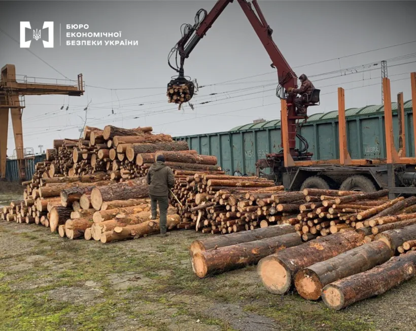 Викрито спробу вивезти до Румунії 17 вагонів сосни під виглядом дров