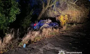 В Кривом Роге мобилизованного отца 5-летней девочки отпустили домой