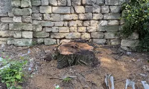 Поїхали в гори кататися і заблукали: в Карпатах шукають трьох чоловіків