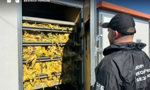 Судитимуть фермера за організацію тютюнового бізнесу на 30 млн грн