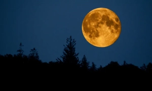 Звільнення полонених іноземців: МЗС подякувало спадкоємному принцу Саудівської Аравії