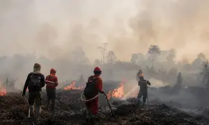 W Mali po atakach znaleziono 54 ciała — The Hindu