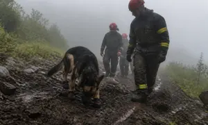 Беспорядки в Вашингтоне: в Капитолии и Нацкомитете республиканцев обезвредили взрывчатку