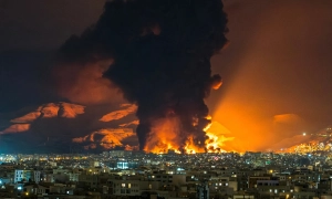 У Німеччині пропонують винагороджувати за вбивство єнотів