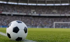 Lions celują w domowy półfinał URC w RPA — TimesLIVE