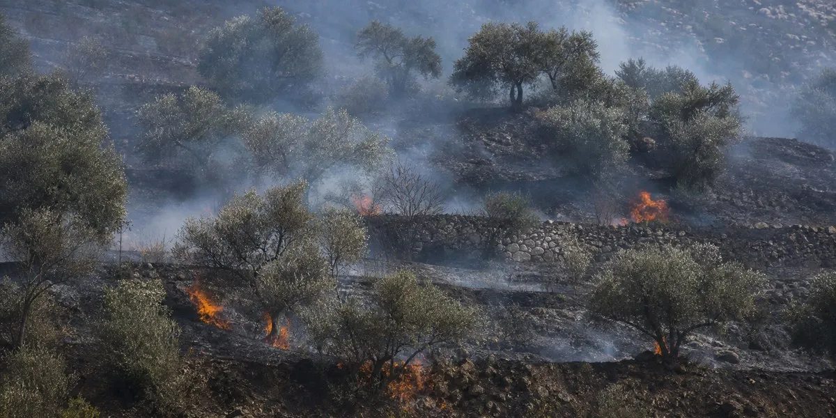 Fires reported in orchards in southern Lebanon after shelling — Anadolu Agency