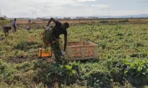 Кім Чен Ин пустив американських інспекторів на атомний полігон