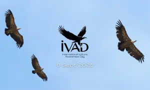 Австрия заявила о поддержке Украины при вторжении РФ
