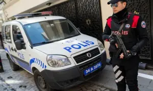 В Италии массовое лесопосадки в Альпах привели к утрате биоразнообразия