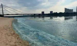 На Київщині у низці міст зафіксували підвищений рівень пилу