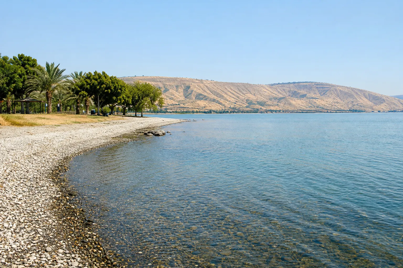 9-year-old boy in Israel in critical condition due to Naegleria fowleri