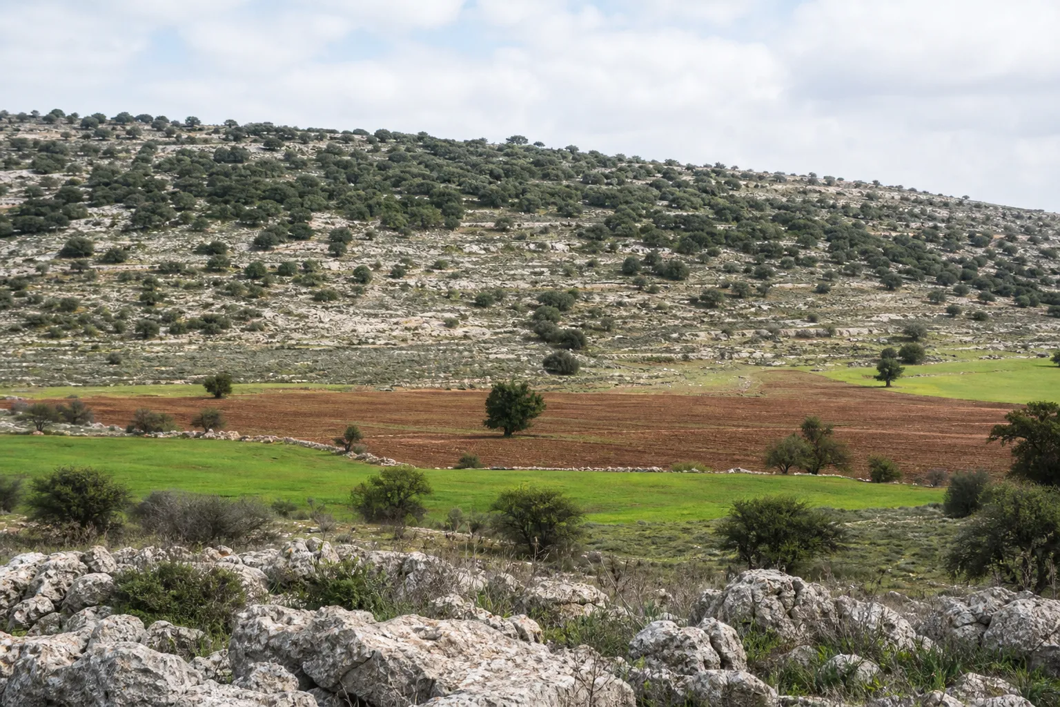 Israel revises boundaries of ‘state land’ declaration in West Bank