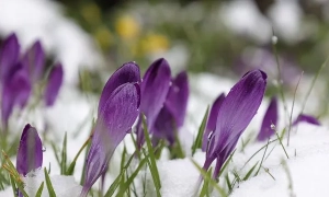 Опубліковано офіційну термінологію щодо війни на сході України