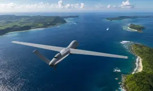 Китай відправить панду Ран Ран до Бельгії для досліджень — ECNS