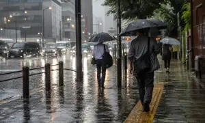 Loneliness may make older people more vulnerable to scammers — MarketWatch