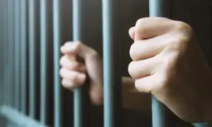 У Карпатах врятували двох осиротілих ведмежат і передали до центру реабілітації