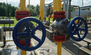 У Франції автобус з дітьми злетів у кювет (фото)