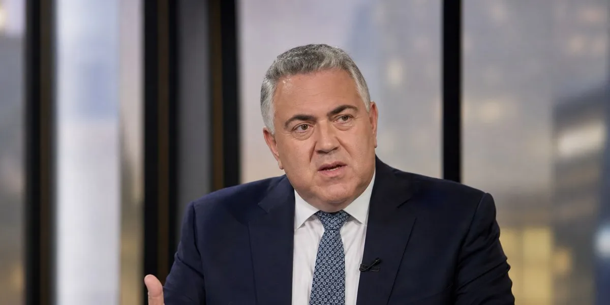 Джо Хокі: бюджетна реформа в Австралії можлива лише після кризи — ABC News Australia
