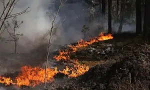 Фото: в Украине продолжаются массовые протесты против повышения тарифов