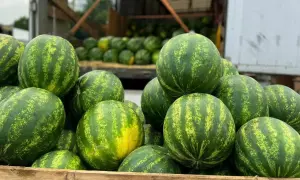 Обнародовано, сколько миллионов трудоспособных украинцев получали субсидии