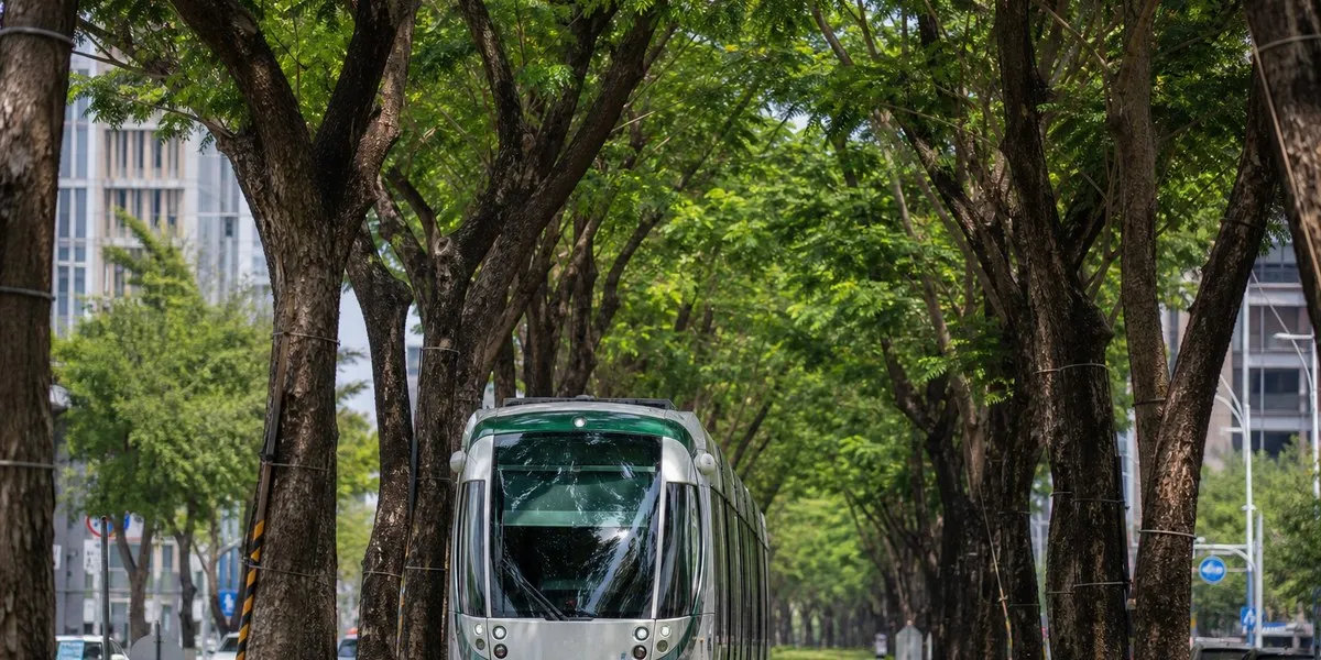 211 czujników monitoruje stabilność drzew w Kaohsiungu podczas tajfunu — Taipei Times