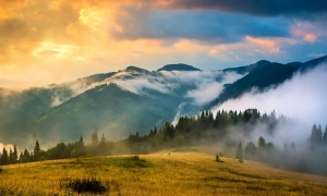 Прикордонники відреагували на заяву РФ про припинення будівництва «Стіни»