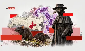 Франция заключила компромисс с Германией по строительству «Северного потока-2»