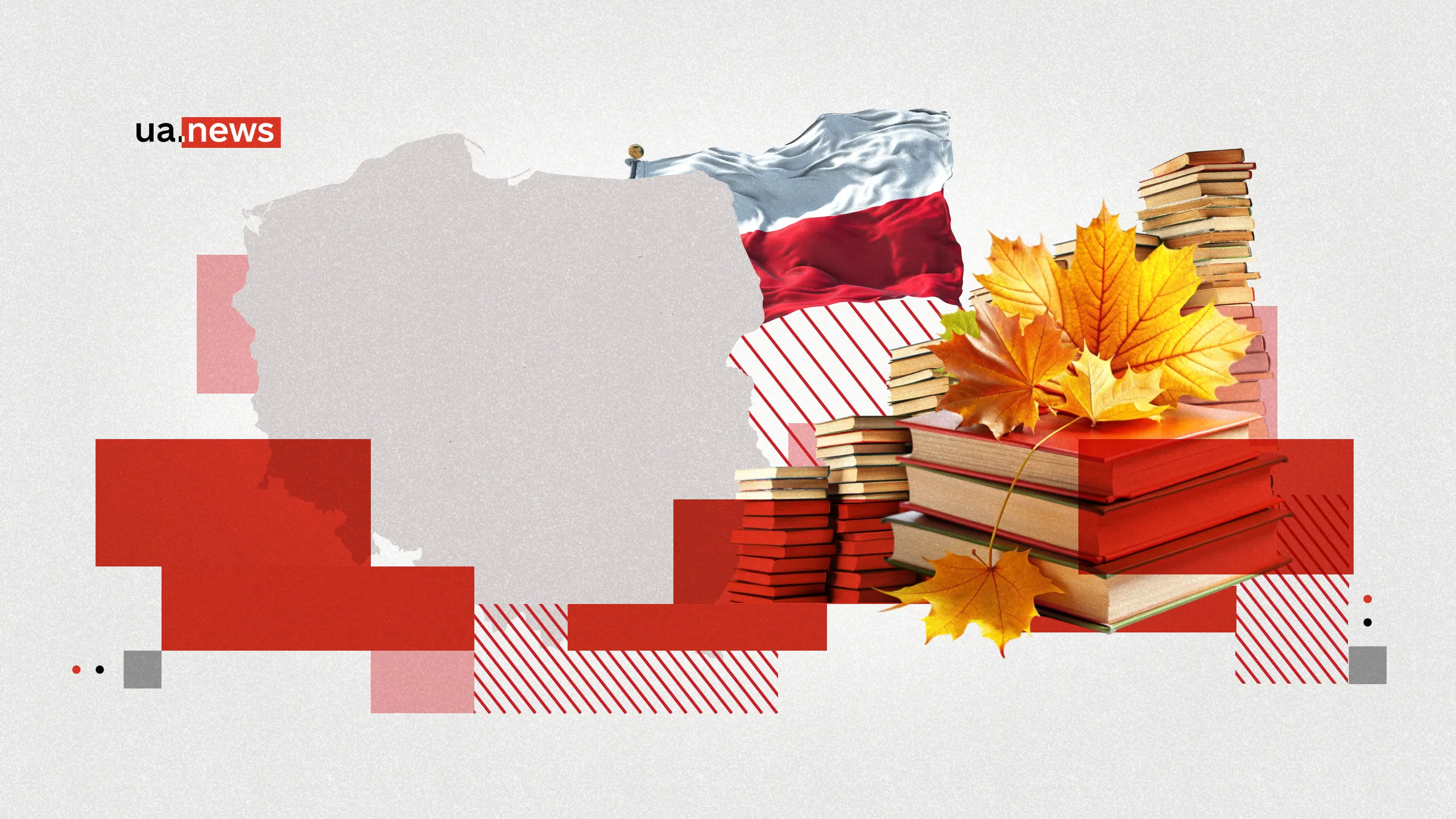 ТОП-6 сучасних польських письменників, яких варто прочитати