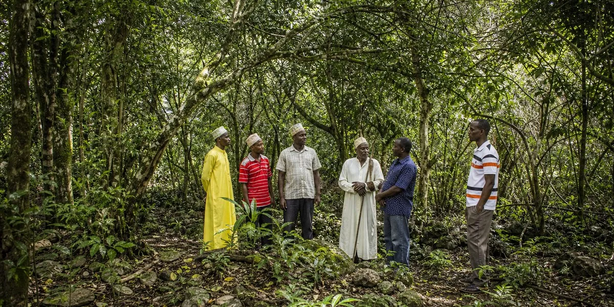 Kenia wybiera dewelopera Mrima Hill w rywalizacji USA i Chin — South China Morning Post