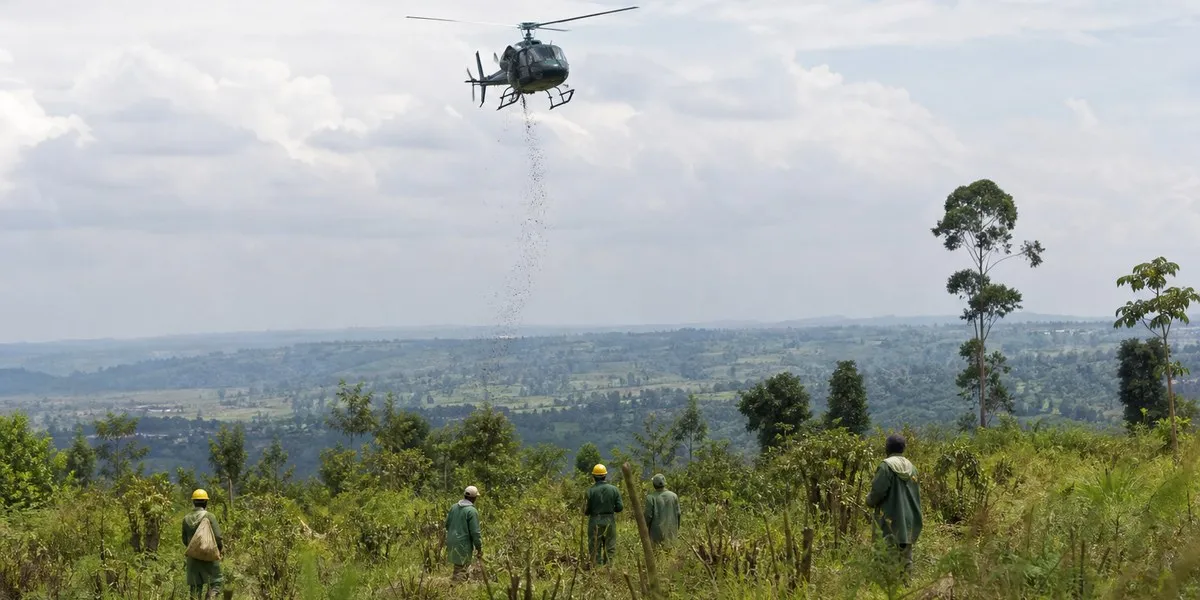 Prezydent Kenii Ruto przedstawił program lotniczego wysiewu drzew — Nation Kenya
