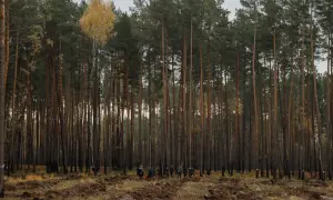 Система електронних платежів НБУ запрацює цілодобово