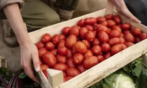 Зеленський звільнив ще шістьох послів України та представника при ЮНЕСКО