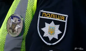 В Киеве заработали пункты сбора новогодних ёлок: список адресов