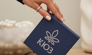 Нардеп Железняк заявив про скасування броні для блогера Золкіна