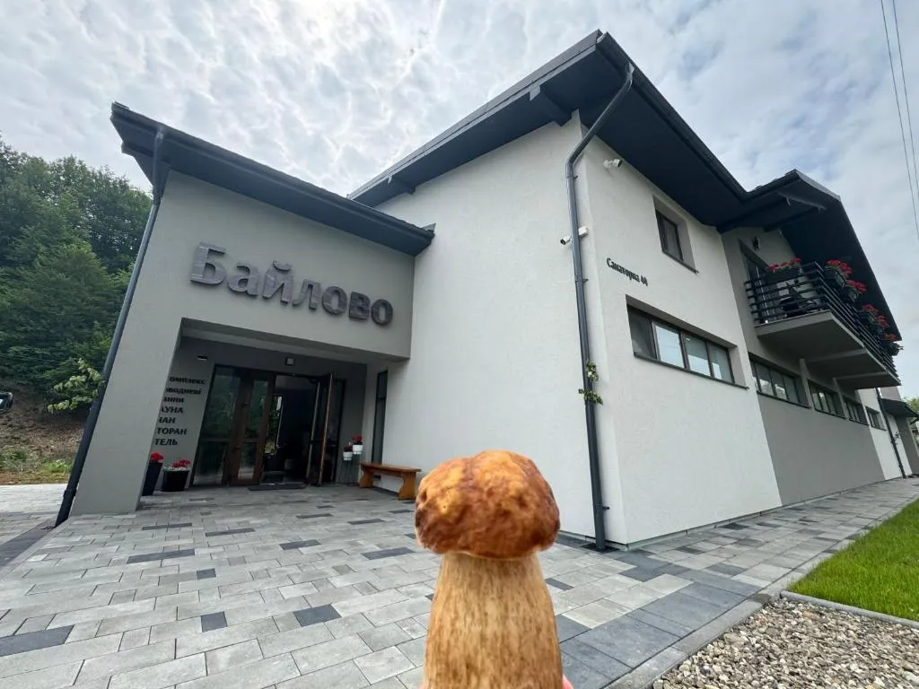 18 банківських рахунків та один «Жигуль»: чому антикорупційні органи перевіряють декларацію закарпатського посадовця