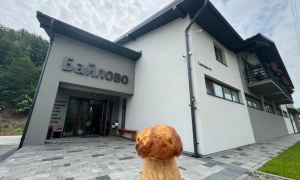 18 банківських рахунків та один «Жигуль»: чому антикорупційні органи перевіряють декларацію закарпатського посадовця